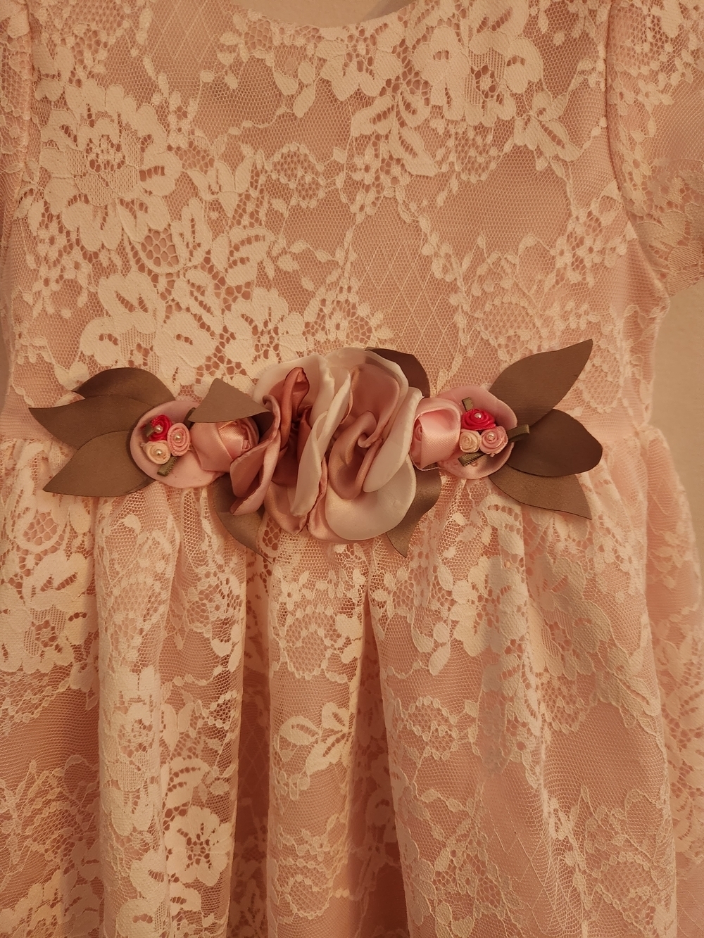 Mia & Mimi Delicate Pink Lace Dress w/Stationary Floral Sash, Size 4T, EPreLC - Picture 4 of 9